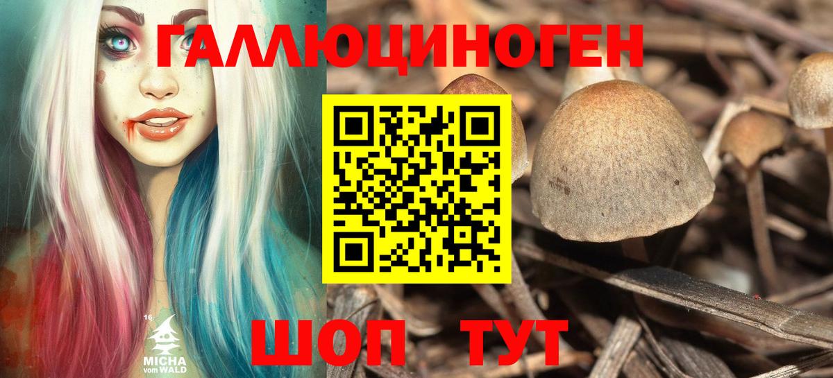 наркота  Псилоцибиновые грибы мухоморы  Вход с VPN  Нурлат  Галлюциногенные грибы мицелий 